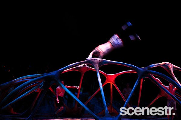 Photos: Behind The Seams: TOTEM - Cirque du Soleil, Northshore Hamilton - 9 April, 2015