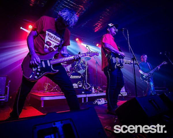 Photos: Custard - Miami Marketta, Gold Coast - 20 December, 2024