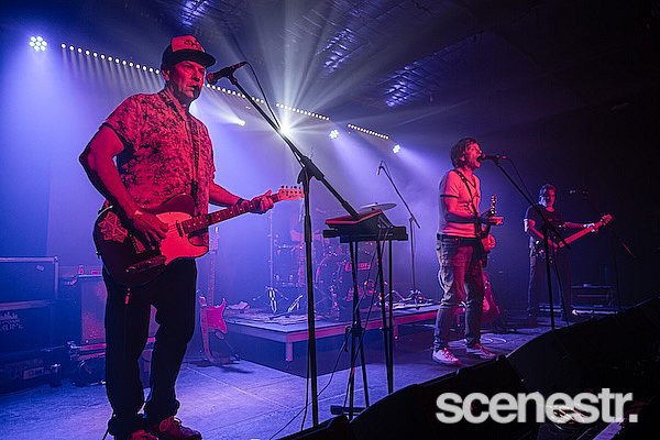 Photos: Custard - Miami Marketta, Gold Coast - 20 December, 2024