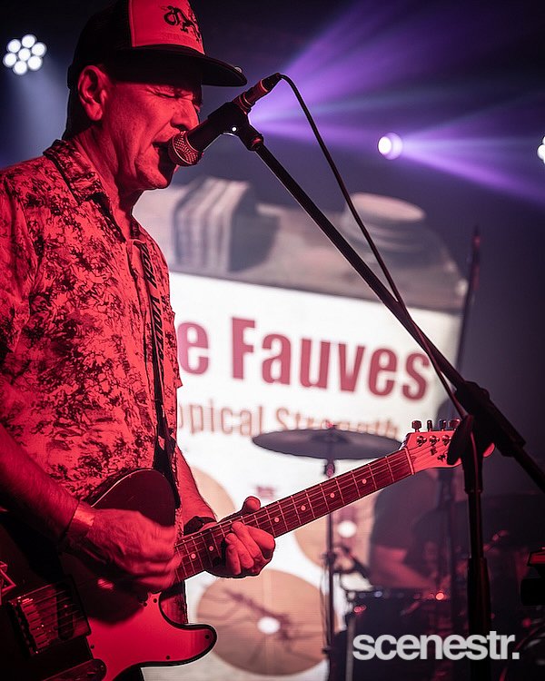 Photos: Custard - Miami Marketta, Gold Coast - 20 December, 2024