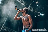 Photos: FOMO Festival - Parramatta Park, Sydney - 8 January, 2017