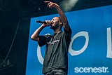 Photos: FOMO Festival - Parramatta Park, Sydney - 8 January, 2017