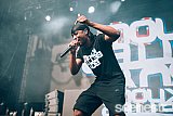 Photos: FOMO Festival - Parramatta Park, Sydney - 8 January, 2017
