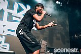 Photos: FOMO Festival - Parramatta Park, Sydney - 8 January, 2017