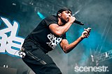 Photos: FOMO Festival - Parramatta Park, Sydney - 8 January, 2017