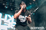 Photos: FOMO Festival - Parramatta Park, Sydney - 8 January, 2017