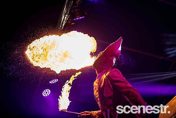 Photos: Big Gay Day - The Wickham Hotel - 15 March, 2015