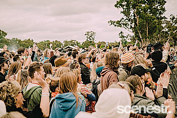 Photos: 2023 Vintage Vibes Day One - Tomich Wines Vineyard, Adelaide Hills - 1 April, 2023