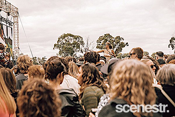 Photos: 2023 Vintage Vibes Day One - Tomich Wines Vineyard, Adelaide Hills - 1 April, 2023