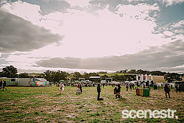 Photos: 2023 Vintage Vibes Day One - Tomich Wines Vineyard, Adelaide Hills - 1 April, 2023