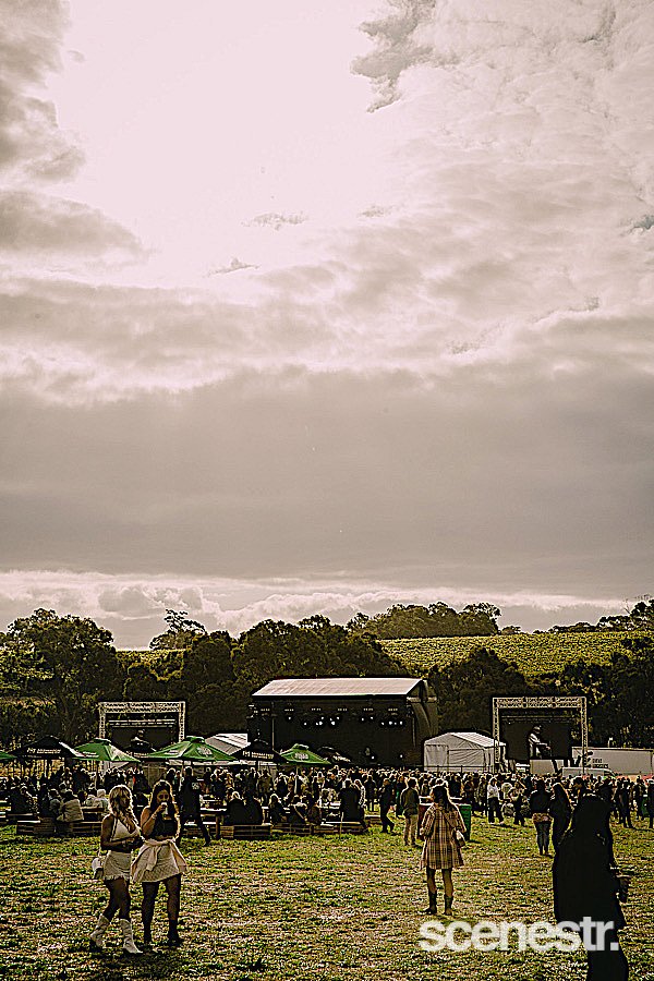 Photos: 2023 Vintage Vibes Day One - Tomich Wines Vineyard, Adelaide Hills - 1 April, 2023