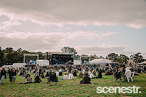 Photos: 2023 Vintage Vibes Day One - Tomich Wines Vineyard, Adelaide Hills - 1 April, 2023