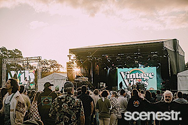 Photos: 2023 Vintage Vibes Day One - Tomich Wines Vineyard, Adelaide Hills - 1 April, 2023