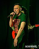 Photos: Regurgitator - Miami Marketta, Gold Coast - 14 June, 2024