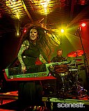 Photos: Regurgitator - Miami Marketta, Gold Coast - 14 June, 2024