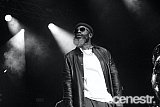 Photos: The Roots - Sidney Myer Music Bowl, Melbourne - 1 January, 2025