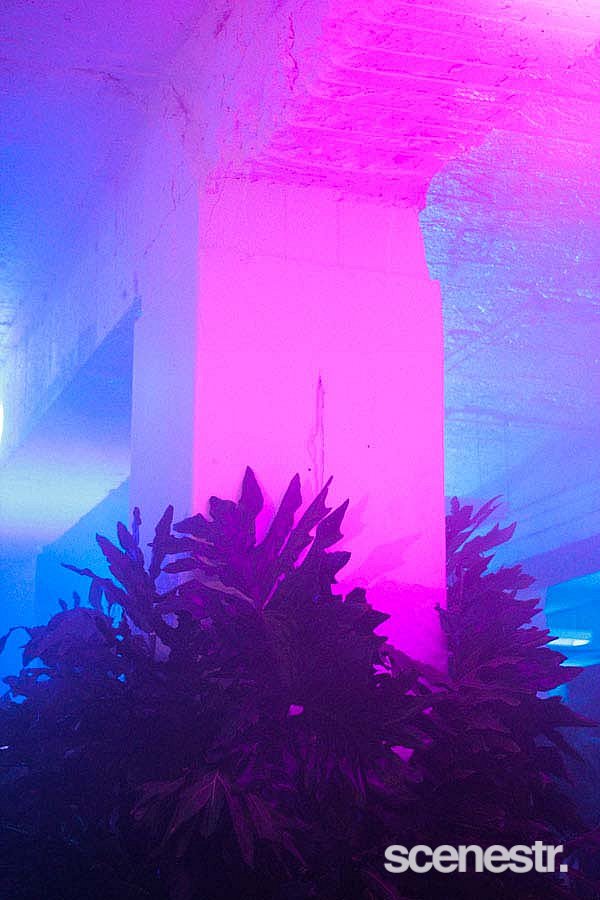 Photos: Undress Brisbane - Factory One - 11 October, 2014