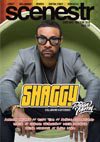 06 shaggy NSW