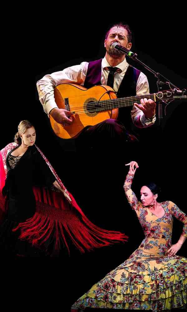 Arte Flamenco 2