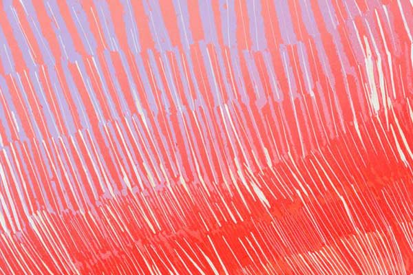 SALA Devil Marks header