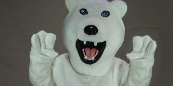 bear suit