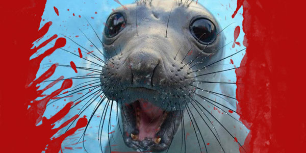 dead sealion