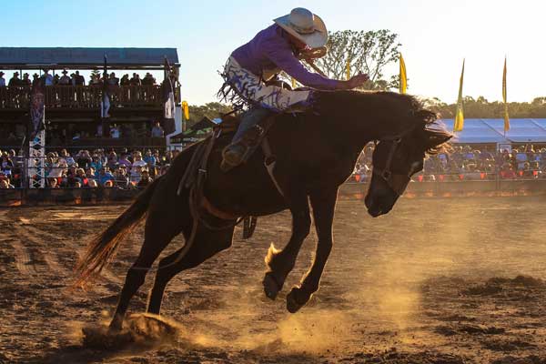 Sandstone Rodeo.2