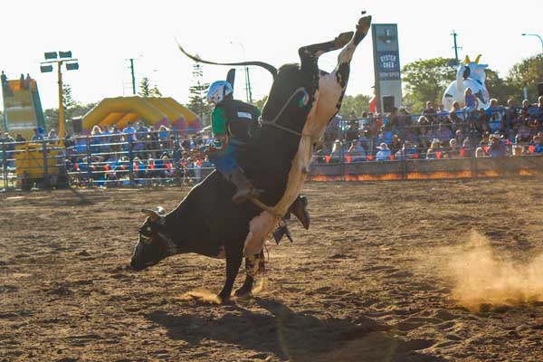 Sandstone Rodeo.3