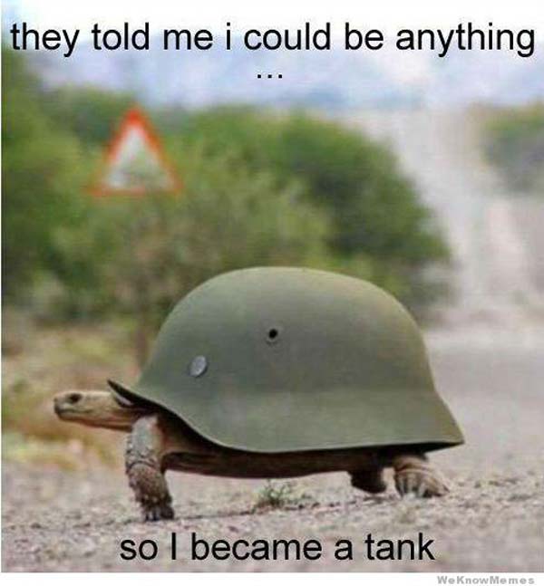 scenestr 10 Memes To Celebrate World Turtle Day
