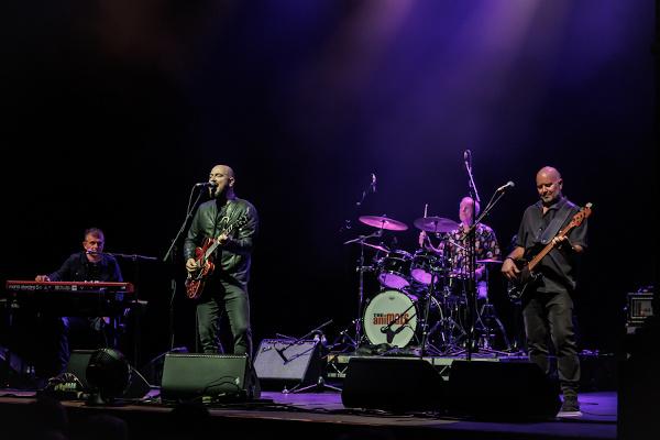 The Animals.6