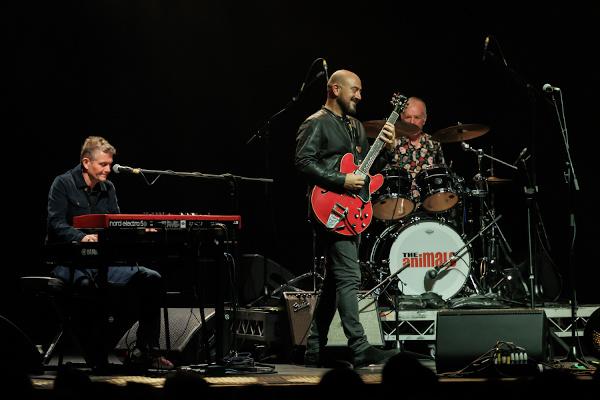The Animals.7
