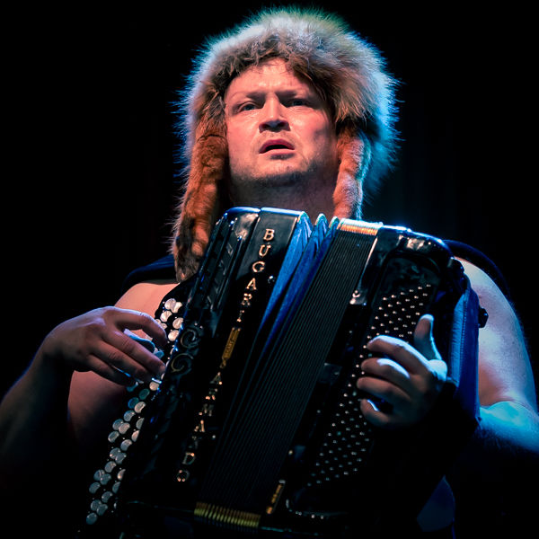 Steve N Seagulls