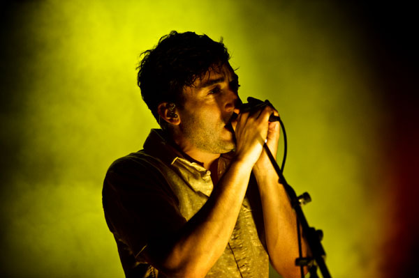 Grizzly-Bear