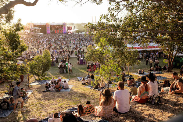 Falls Crowd