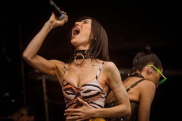 The Veronicas